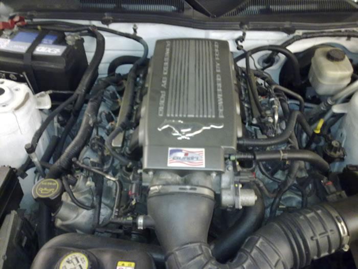 rimappatura Ford Mustang GT 4.6 cc v8 Palermo 